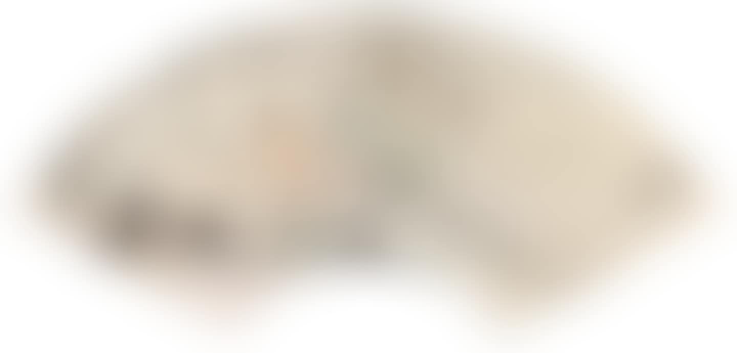Appreciating Plum Blossom (preview)