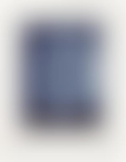 Savarin 6 (Blue) (preview)