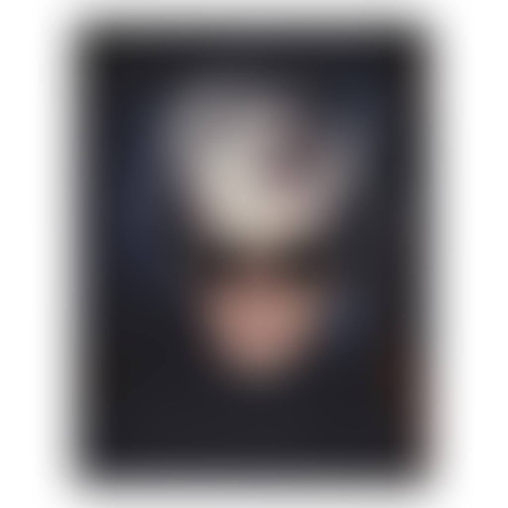SELF-PORTRAIT WITH FRIGHT WIG (preview)