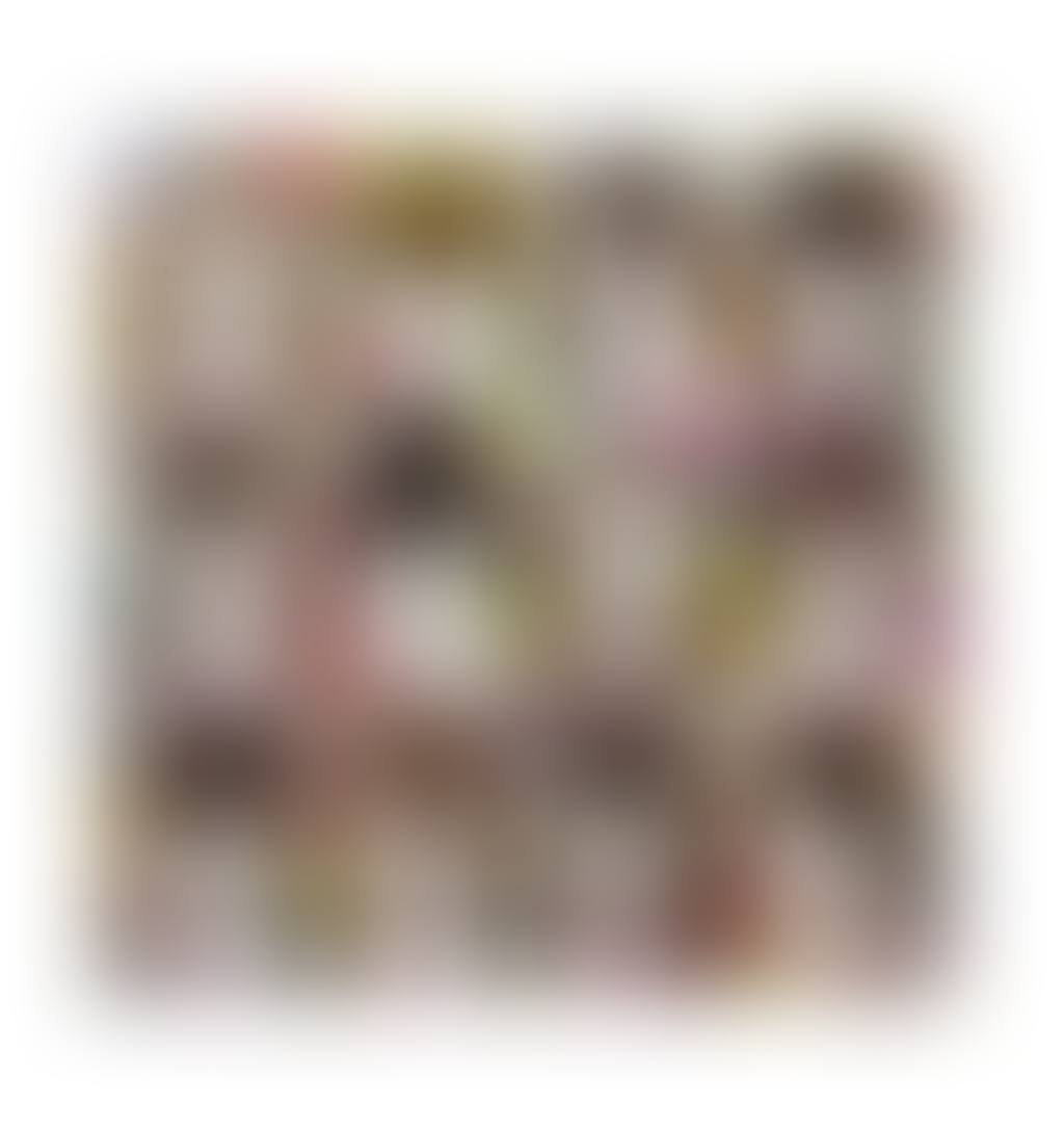 AKB48 (preview)