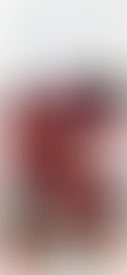 29 (preview)