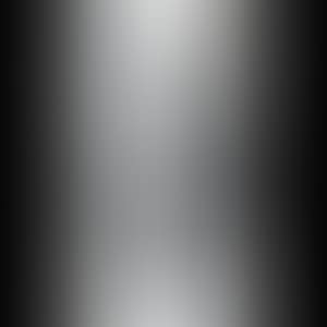 BE@RBRICK COMPANION 1000% (Gray) (preview)