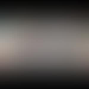 1. Homage to Francis Bacon (Study of George Dyer); 2. Homage to Francis Bacon  (Study of Isabel Rawsthorne) (preview)