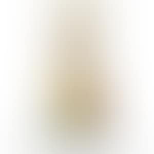 Oval (Peter Norton Christmas Project 2000) (preview)