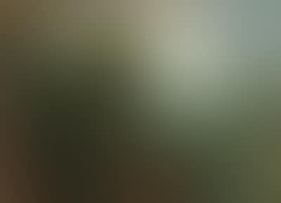 A mountainous river landscape with a hermit (preview)