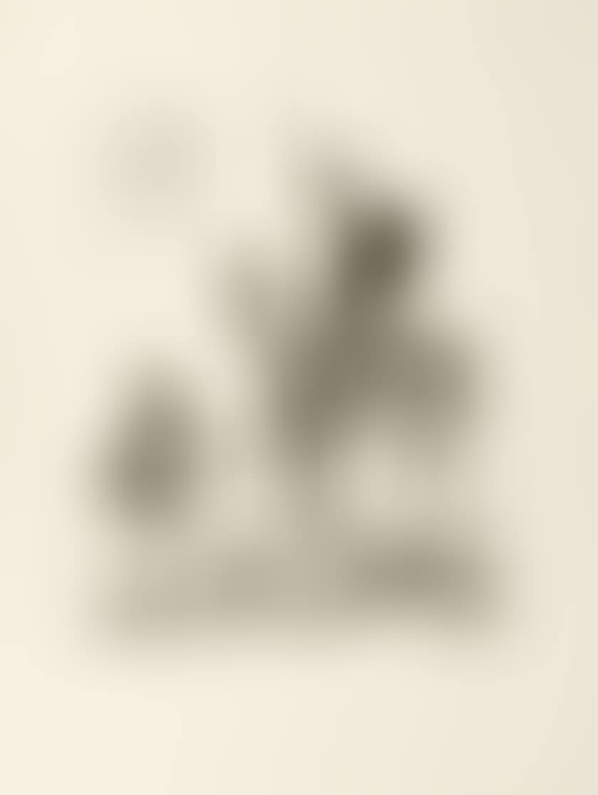 Don Quixote & The Round (preview)
