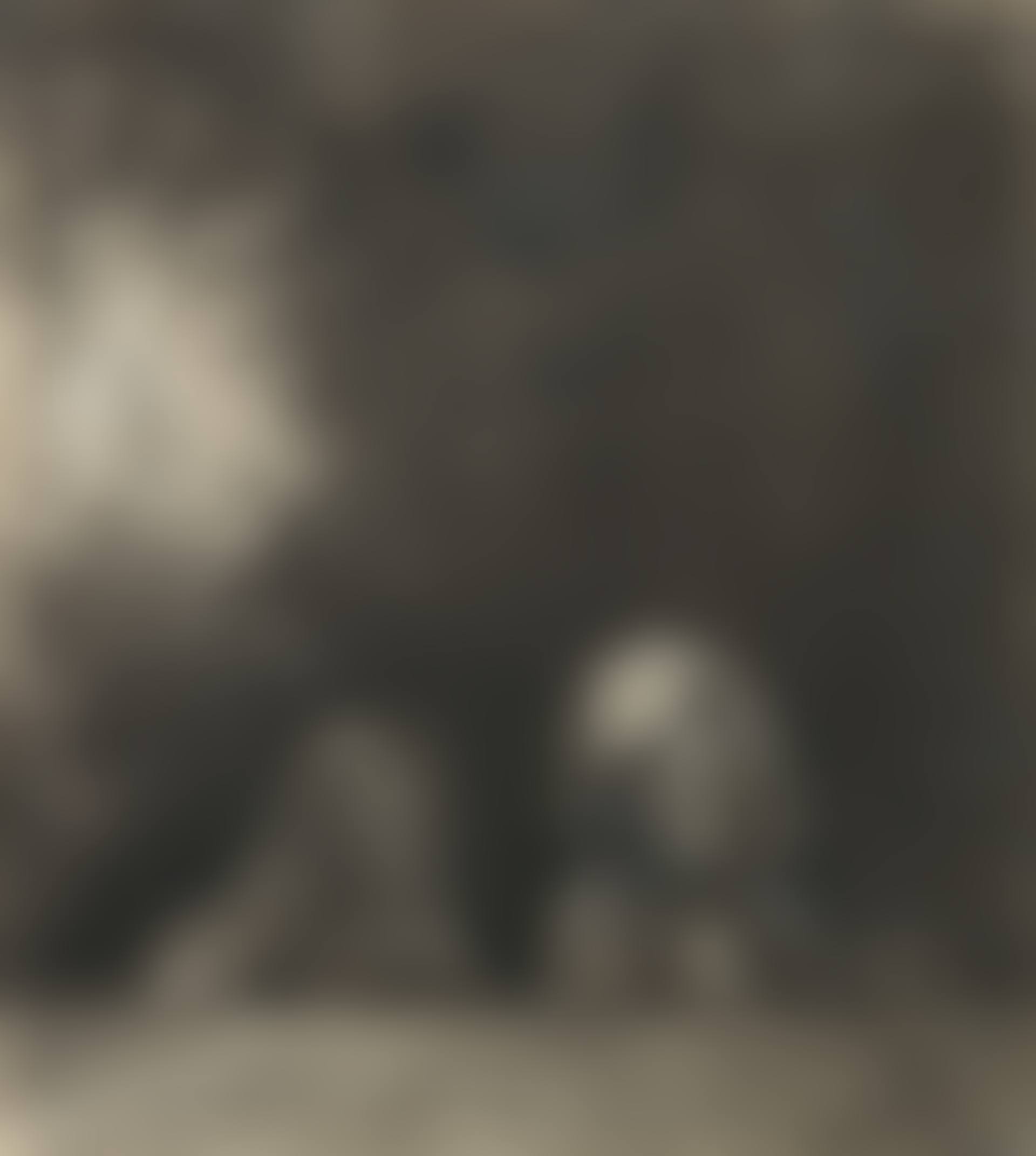 Quasimodo (preview)