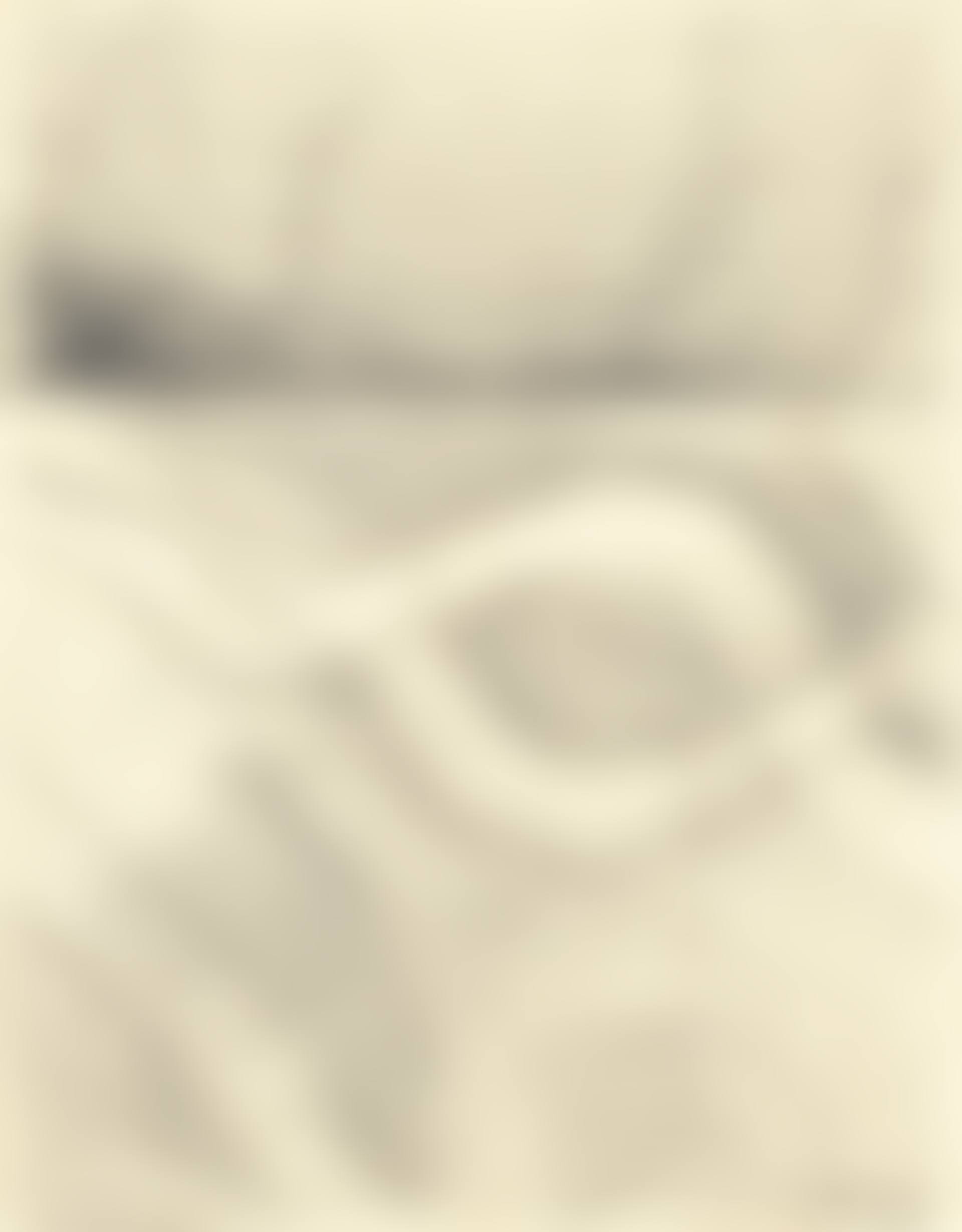 La Mer (preview)