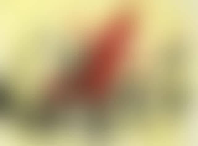 La Taca Vermella (preview)