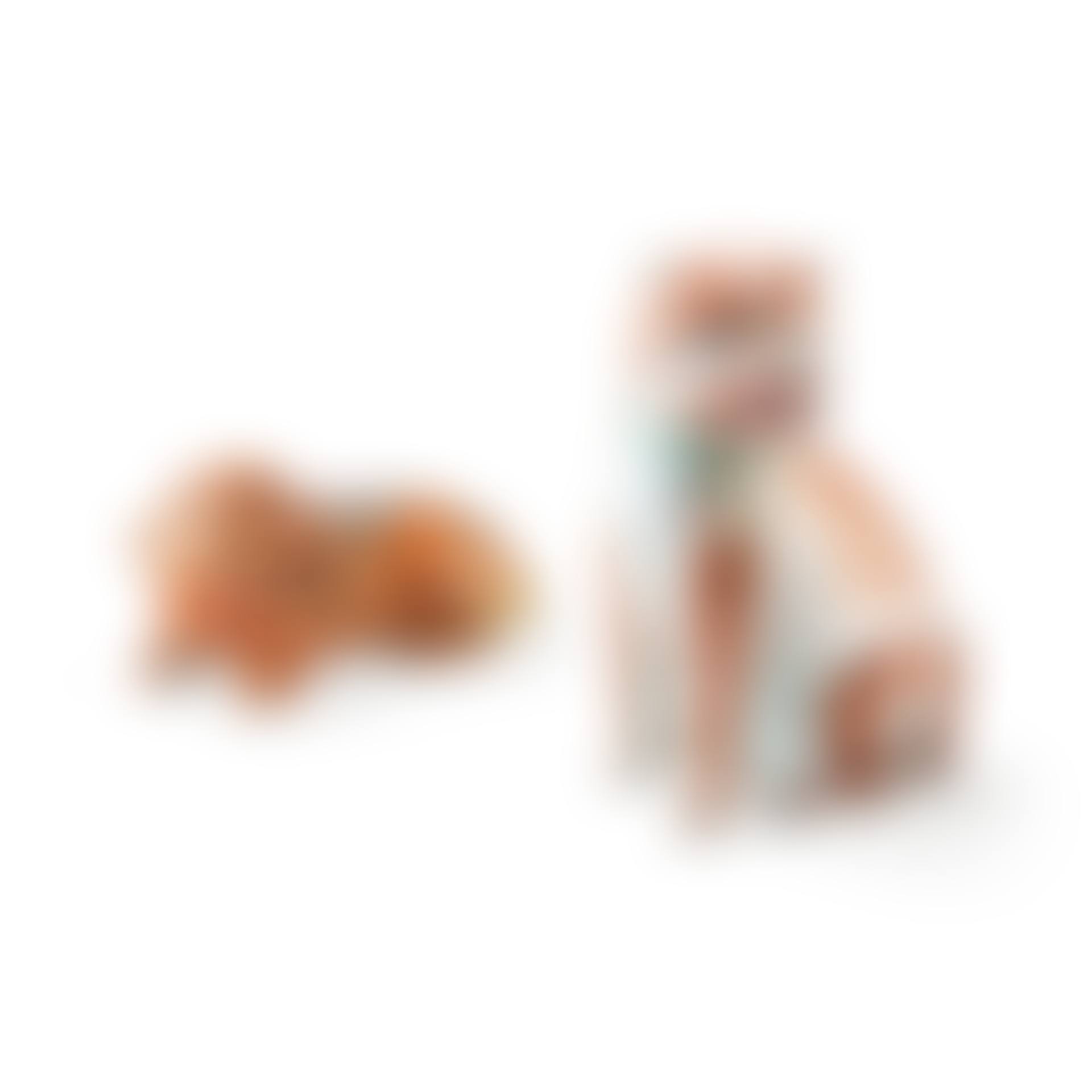 TWO CHINESE EXPORT DOGS (preview)