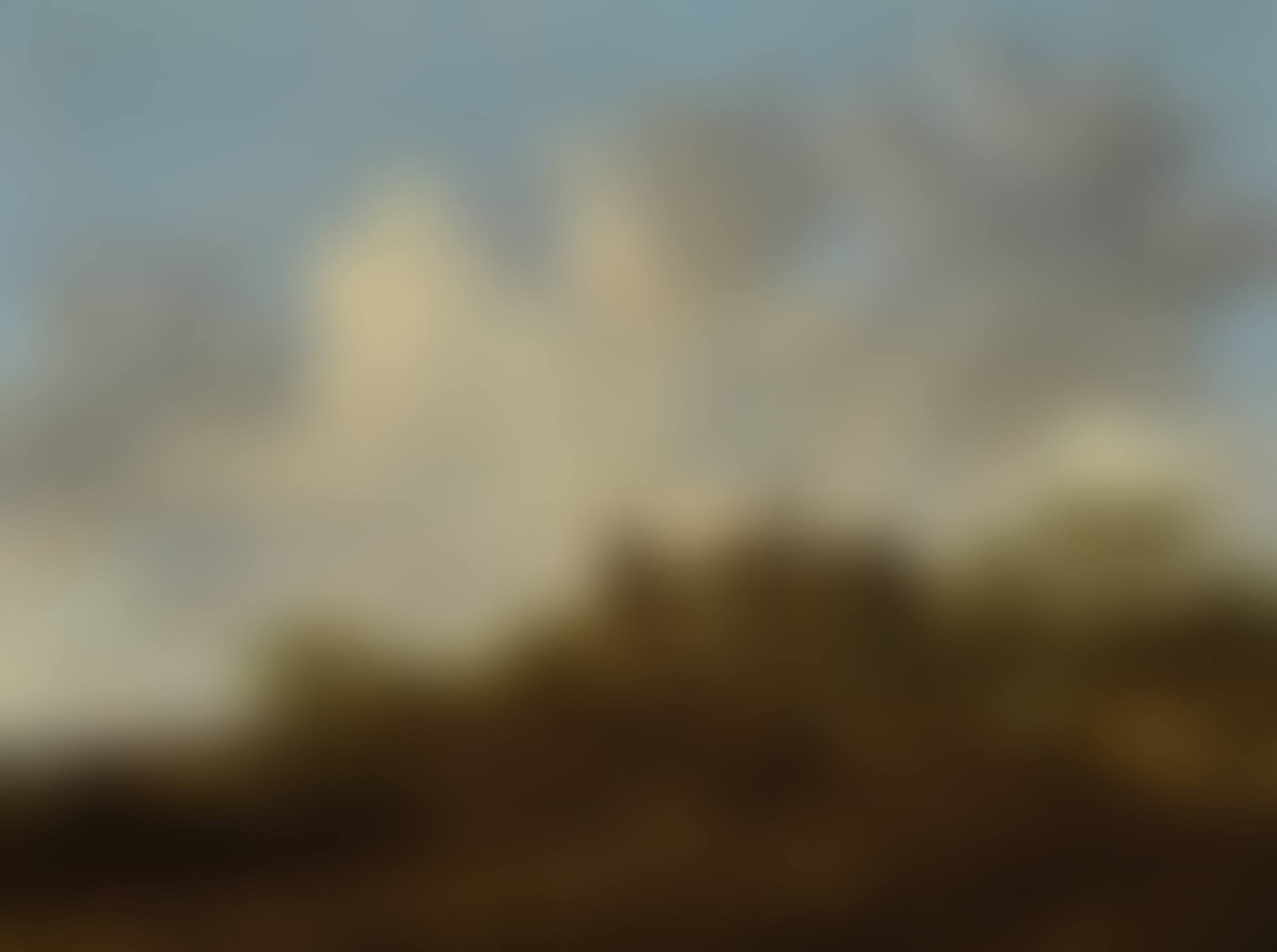 VIEW OF A VILLAGE WITH A LARGE GOTHIC CHURCH (preview)