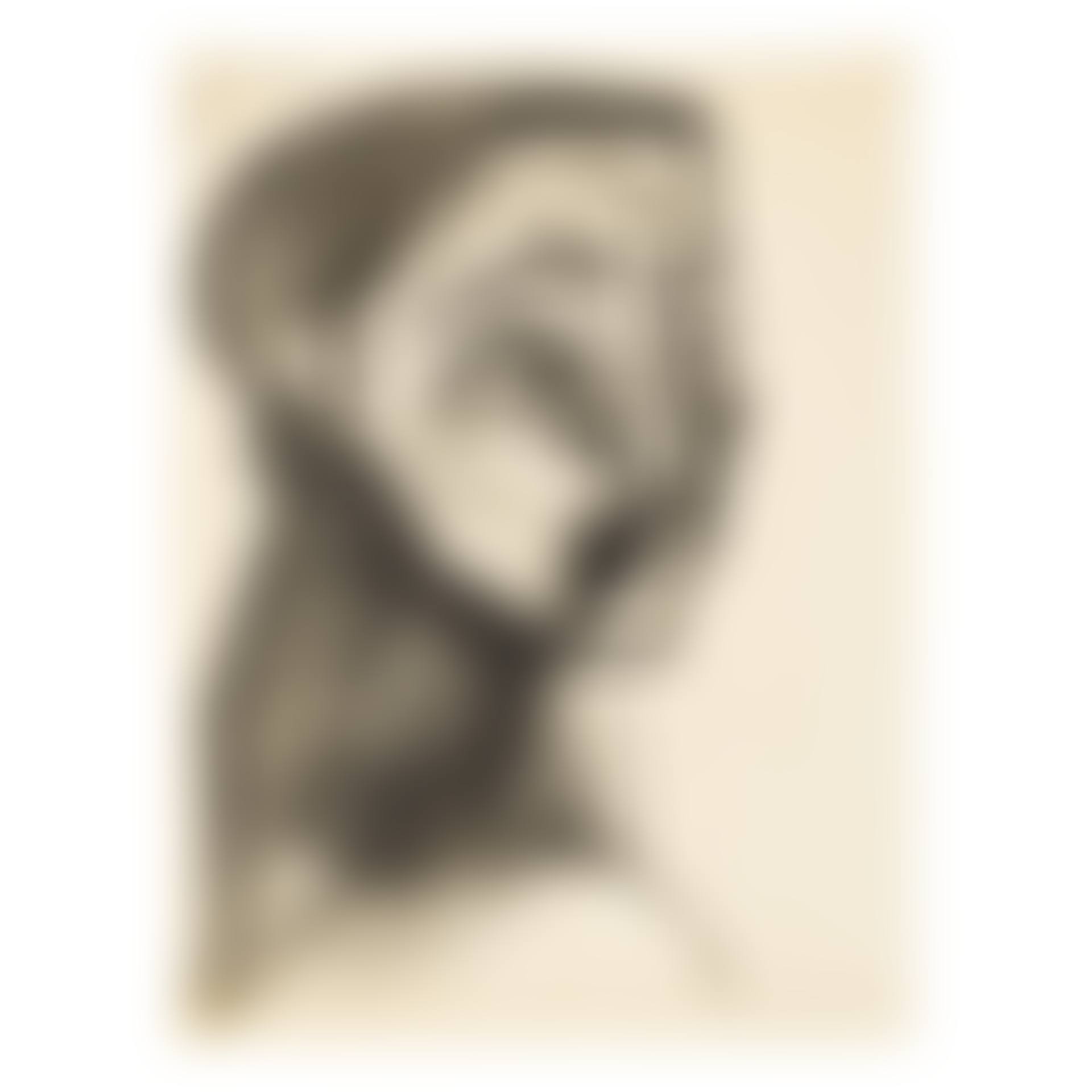 PORTRAIT DE FEMME II (B. 780; M. 272) (preview)