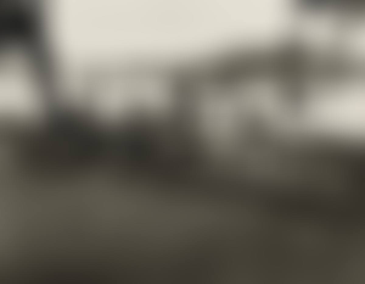 Picnic, East River, N.y. (preview)