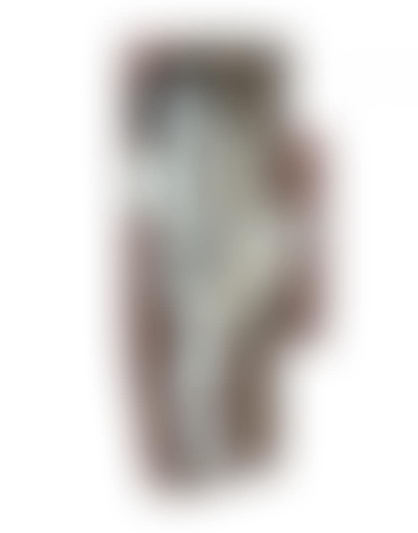 Paris stencil skateboard girl (preview)