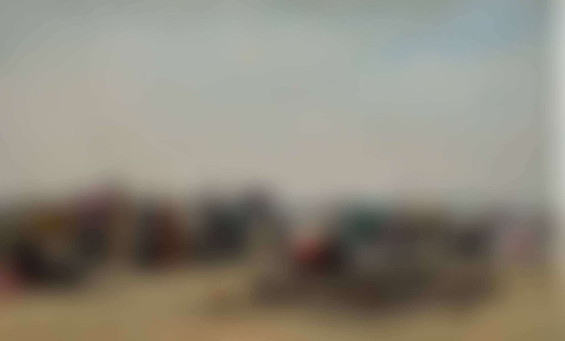SCÈNE DE PLAGE À TROUVILLE (preview)