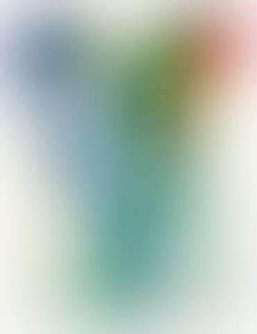 Phenomena Welsh Banner (preview)