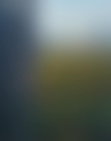 View of Central Park from the East, New York, NY (preview)