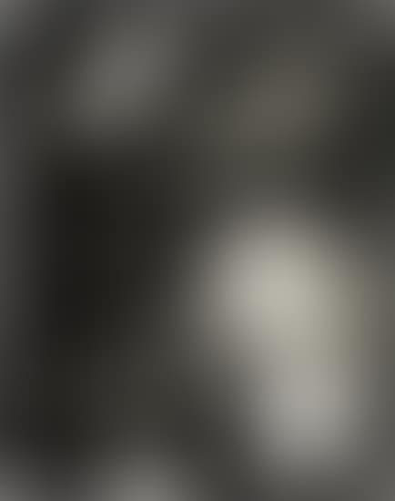 Rayograph (preview)