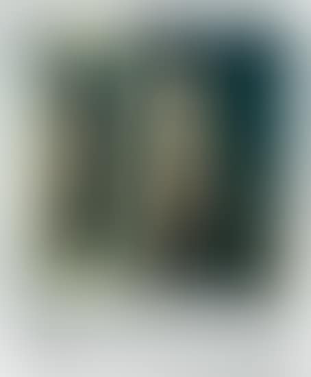 Nude in mirror (preview)