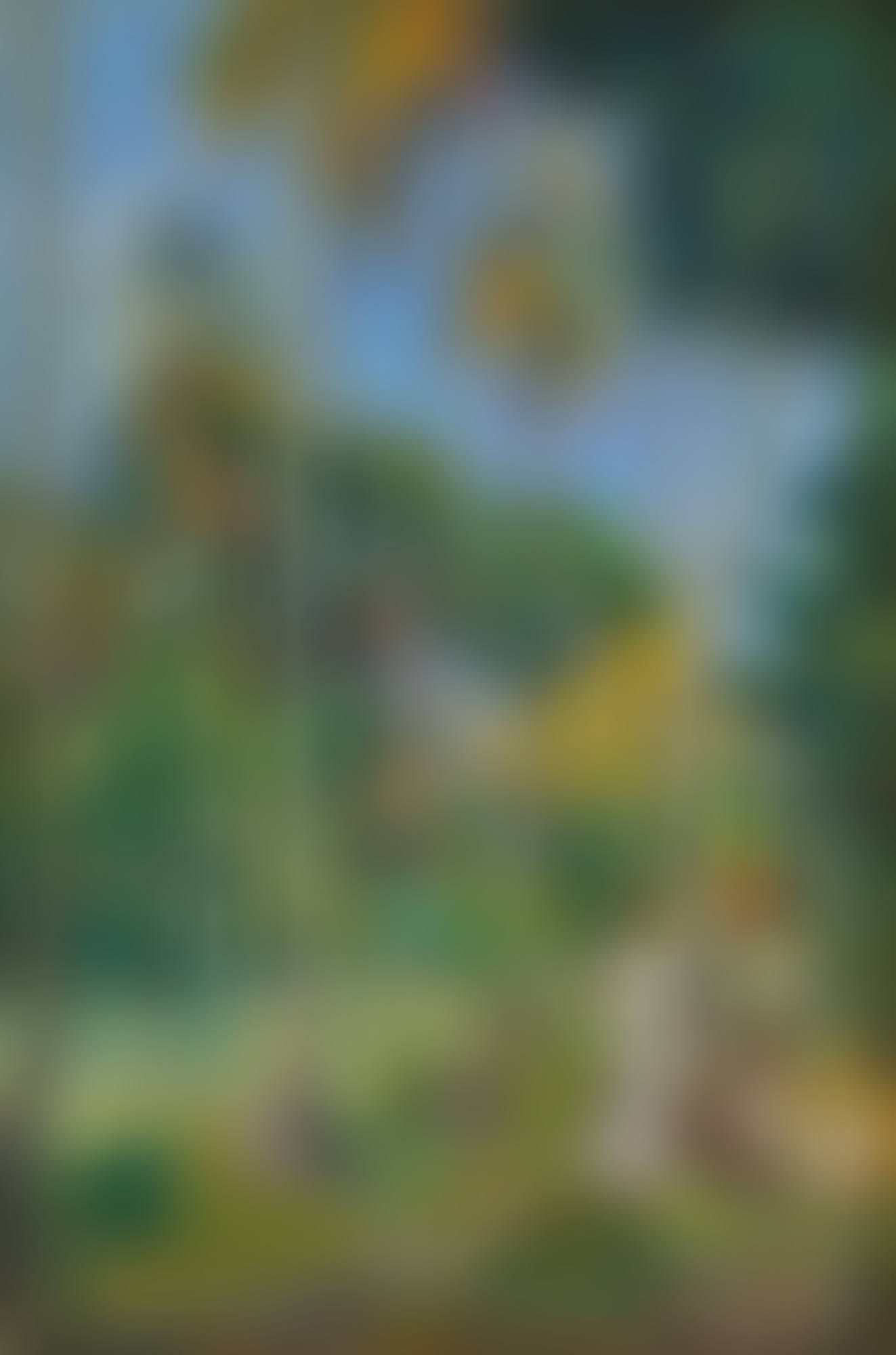 CHEMIN SOUS LES PALMIERS (preview)