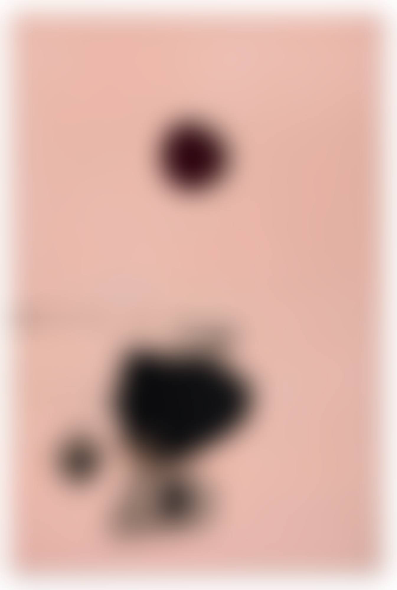 BULLET (preview)