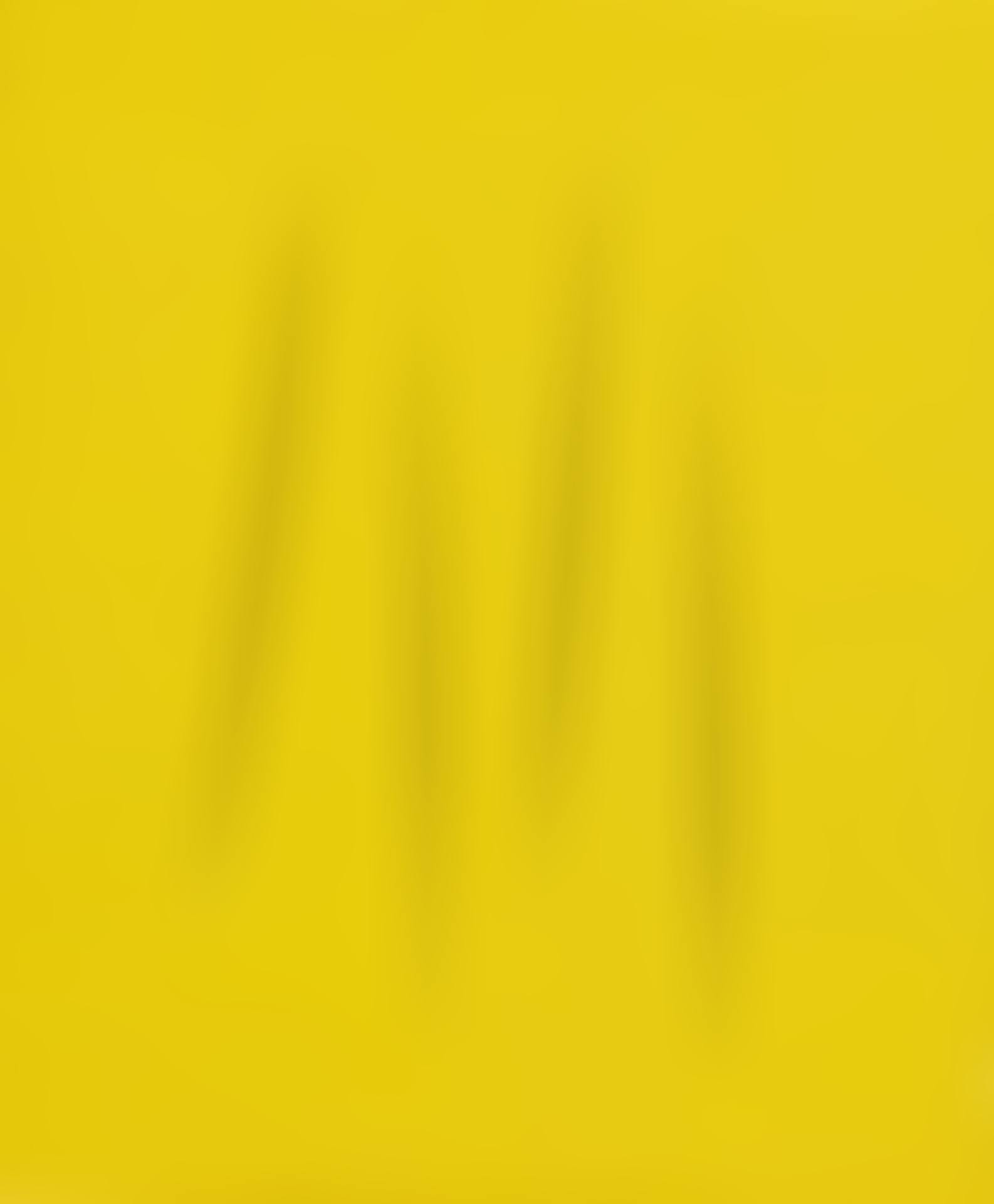 CONCETTO SPAZIALE, ATTESE (preview)