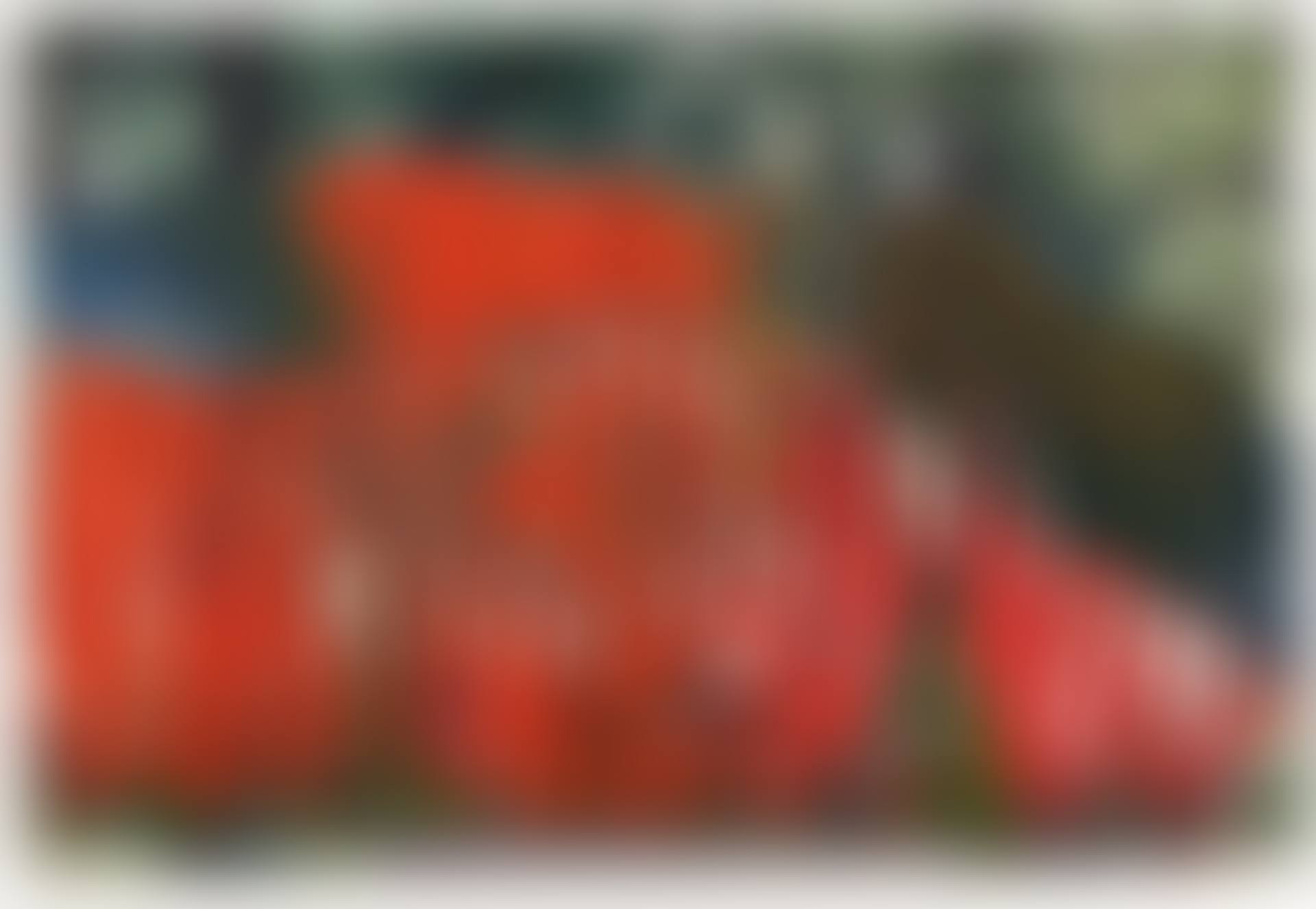 24.7.94 (preview)