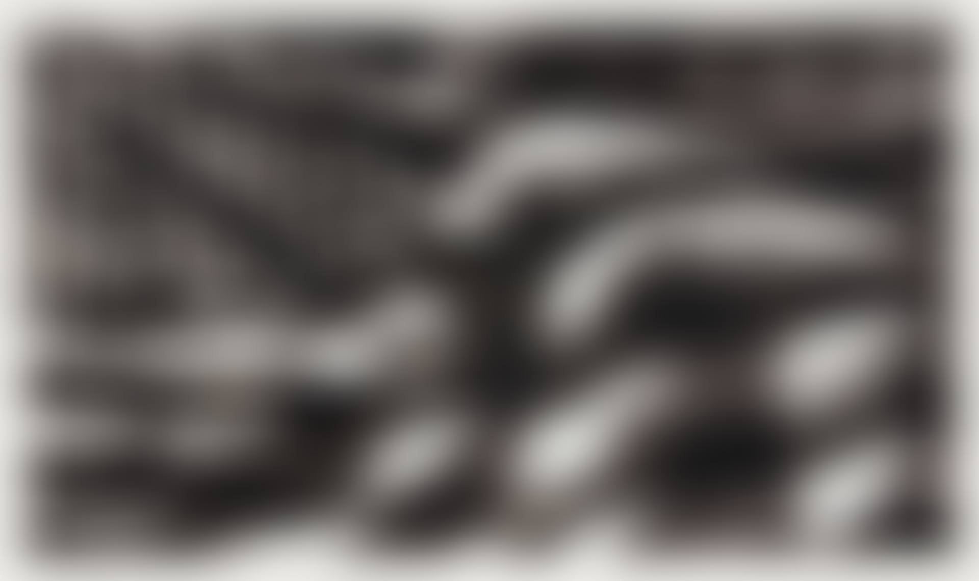 STUDY FOR X-25 (preview)