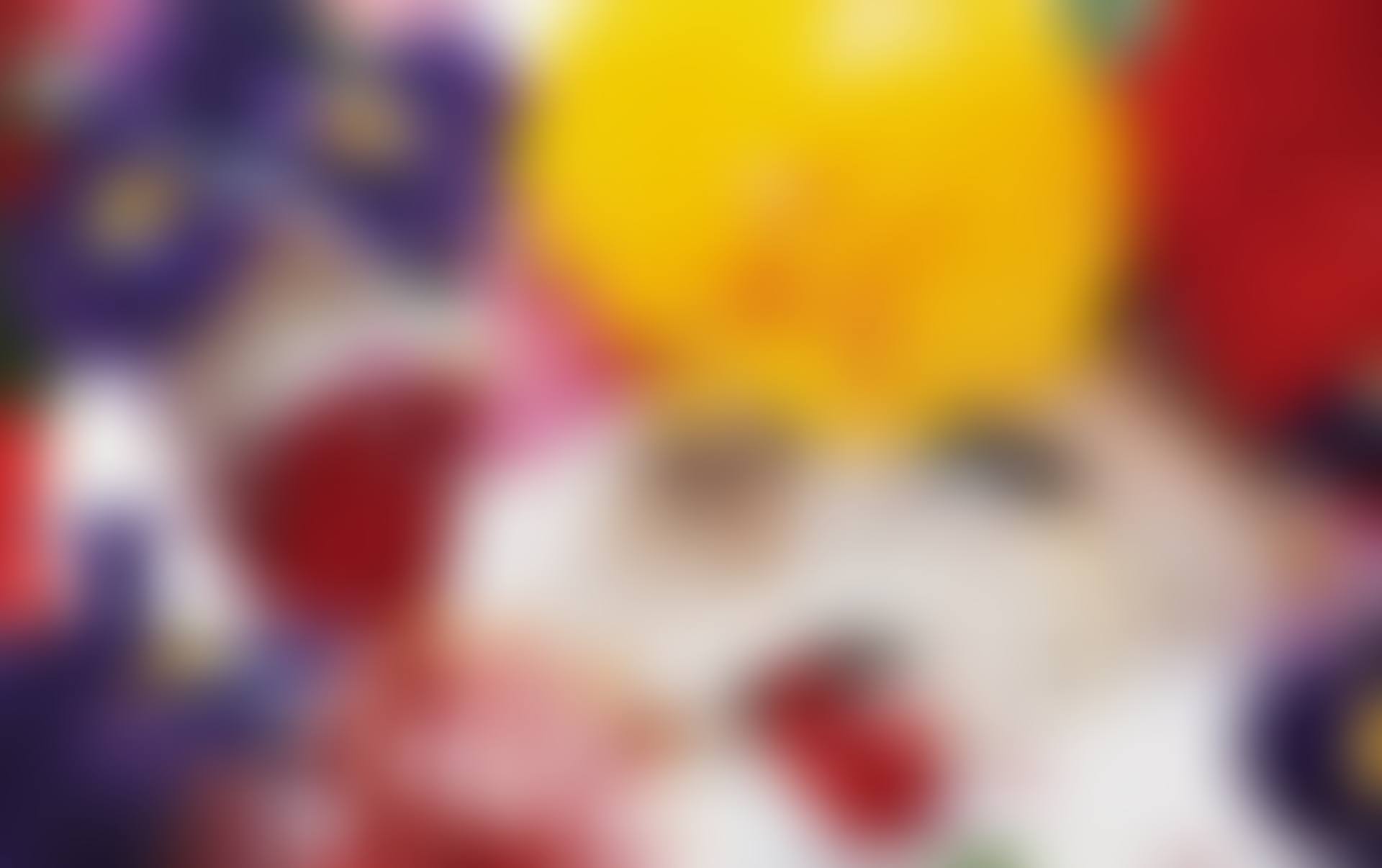 THE BEAUTIFUL REASSIMILATION (preview)