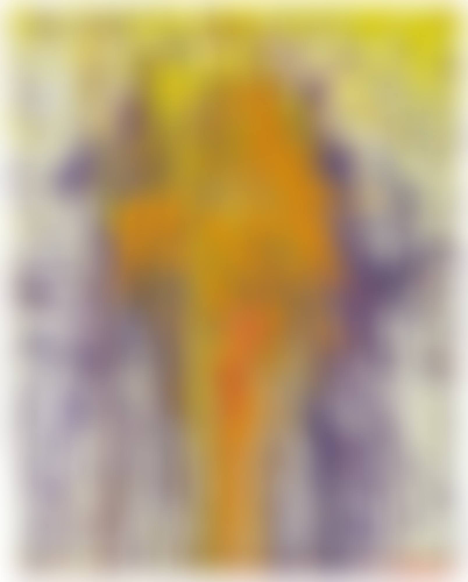 ORANGE AND PURPLE PLOOSH (preview)