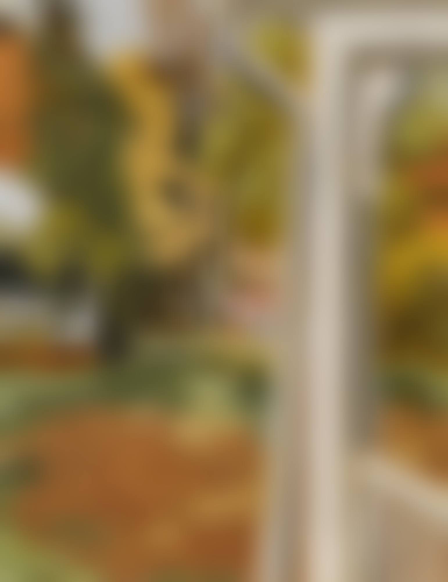 AUTUMN (preview)