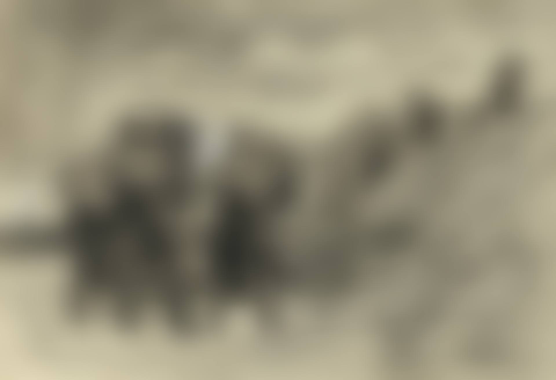 FIGURE STUDY (preview)