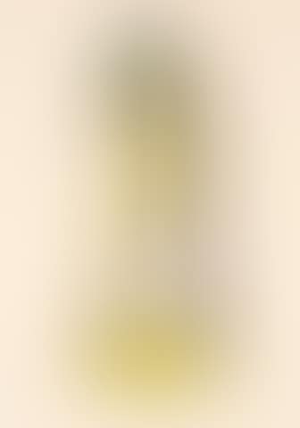 Lamp (preview)