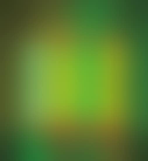 untitled (to Bob and Pat Rohm) (preview)