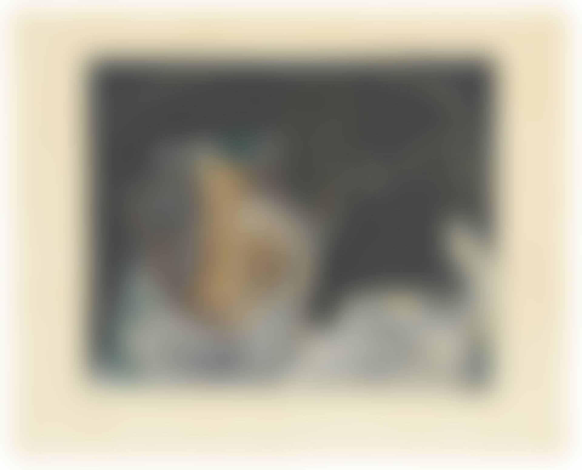 Pichet et oiseau (preview)