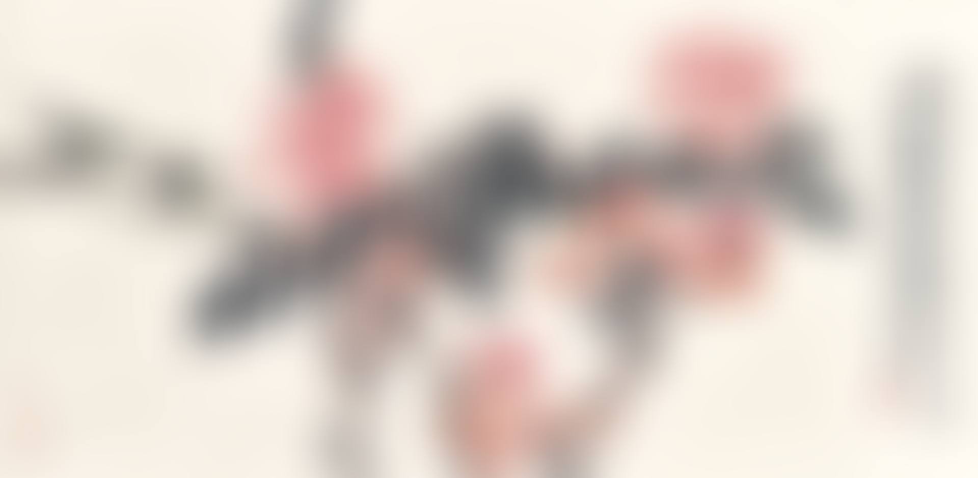 Peony and Small Birds (preview)