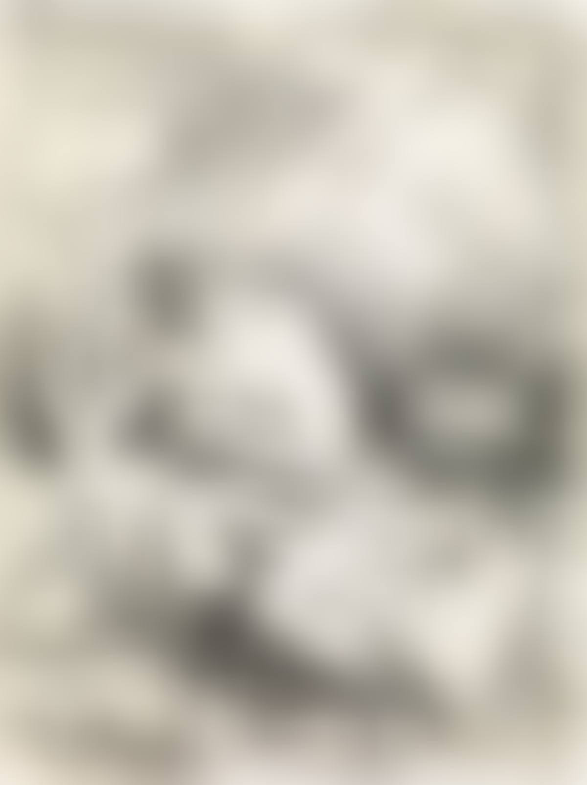 Saint Jerome Hearing The Trumpet Of The Last Judgment (preview)