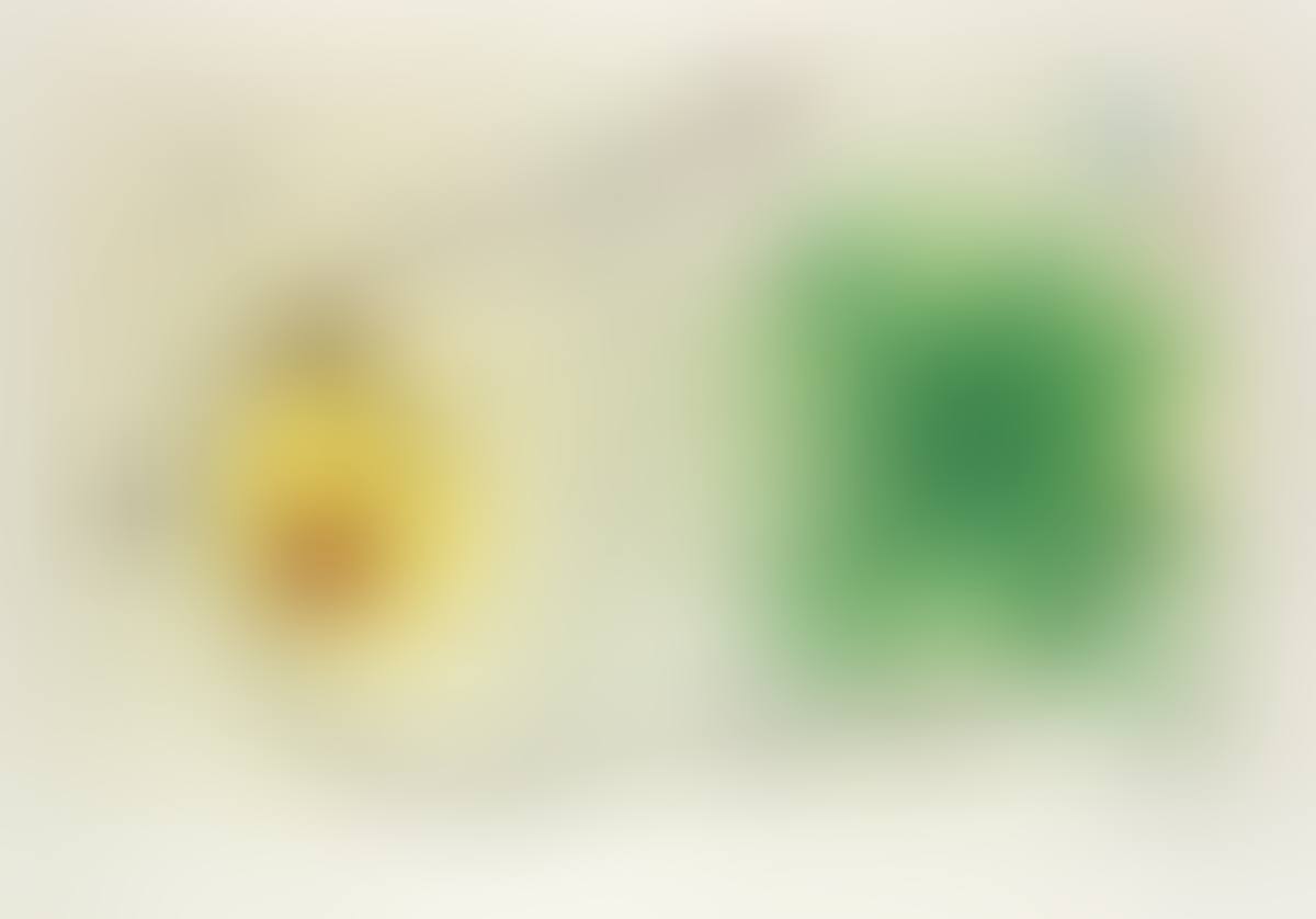 Partie De Campagne I (preview)
