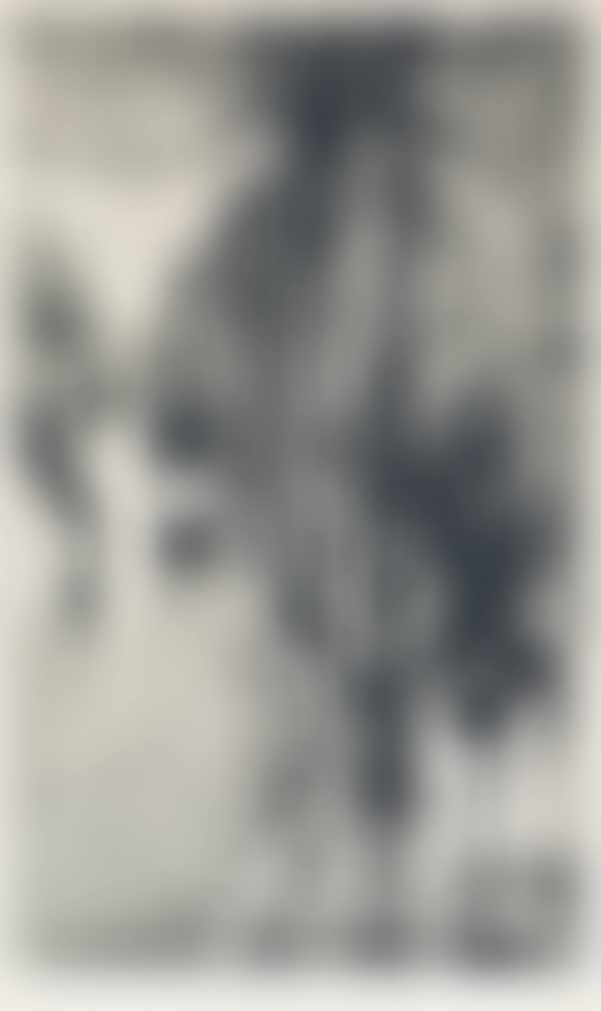 Spaziergänger Im Regen (preview)