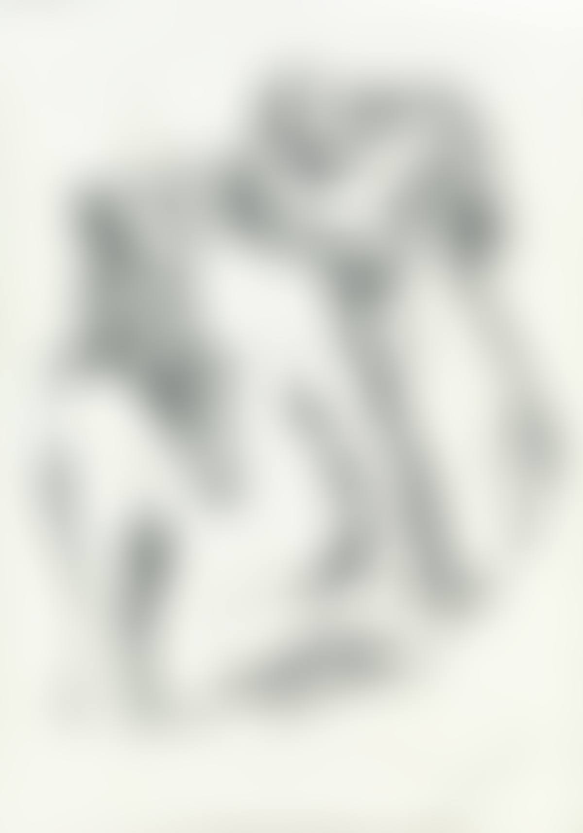 Female Nudes (preview)