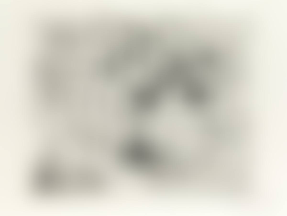 Argus (preview)