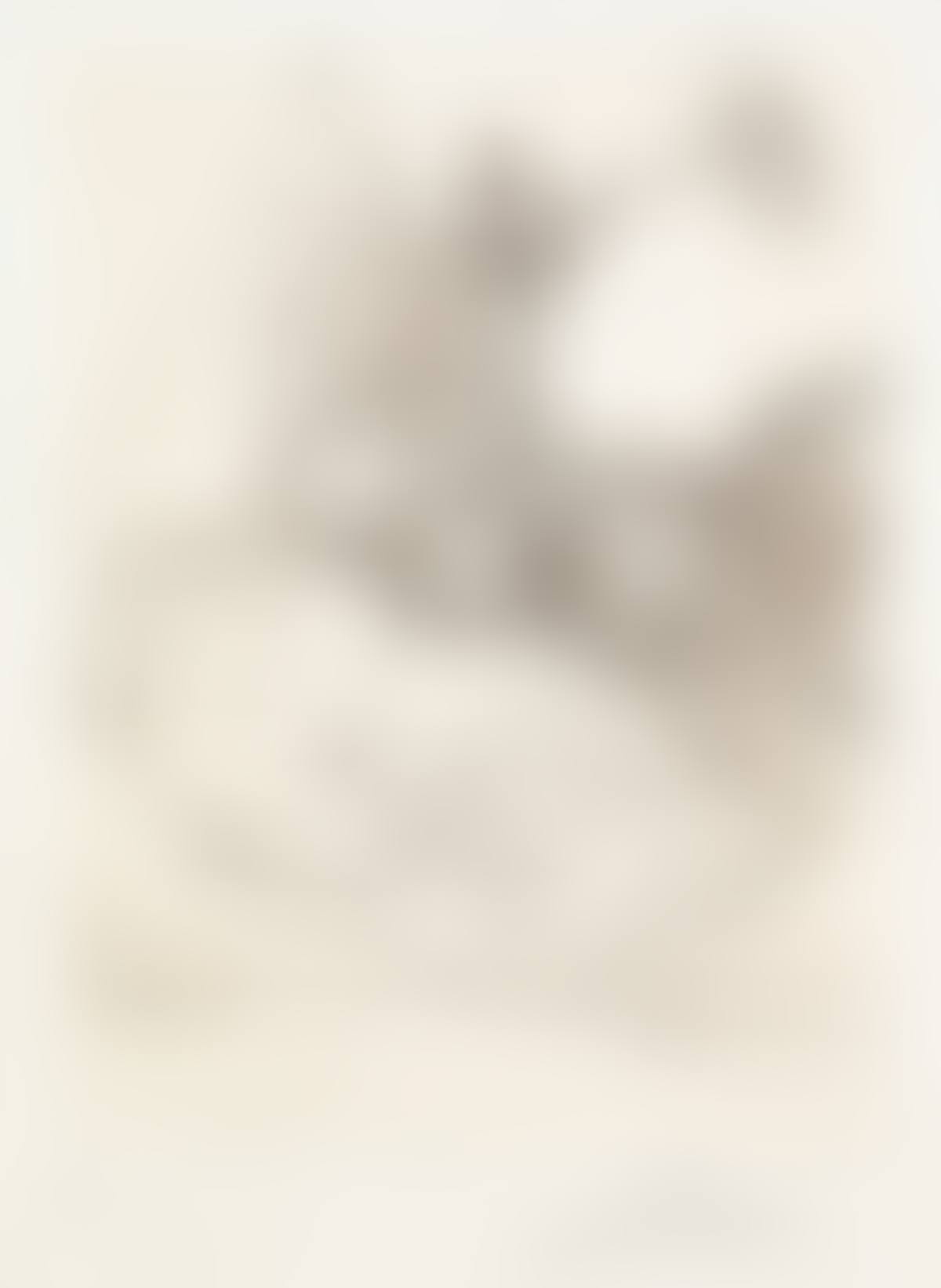 Don Quichotte (horseman) (preview)