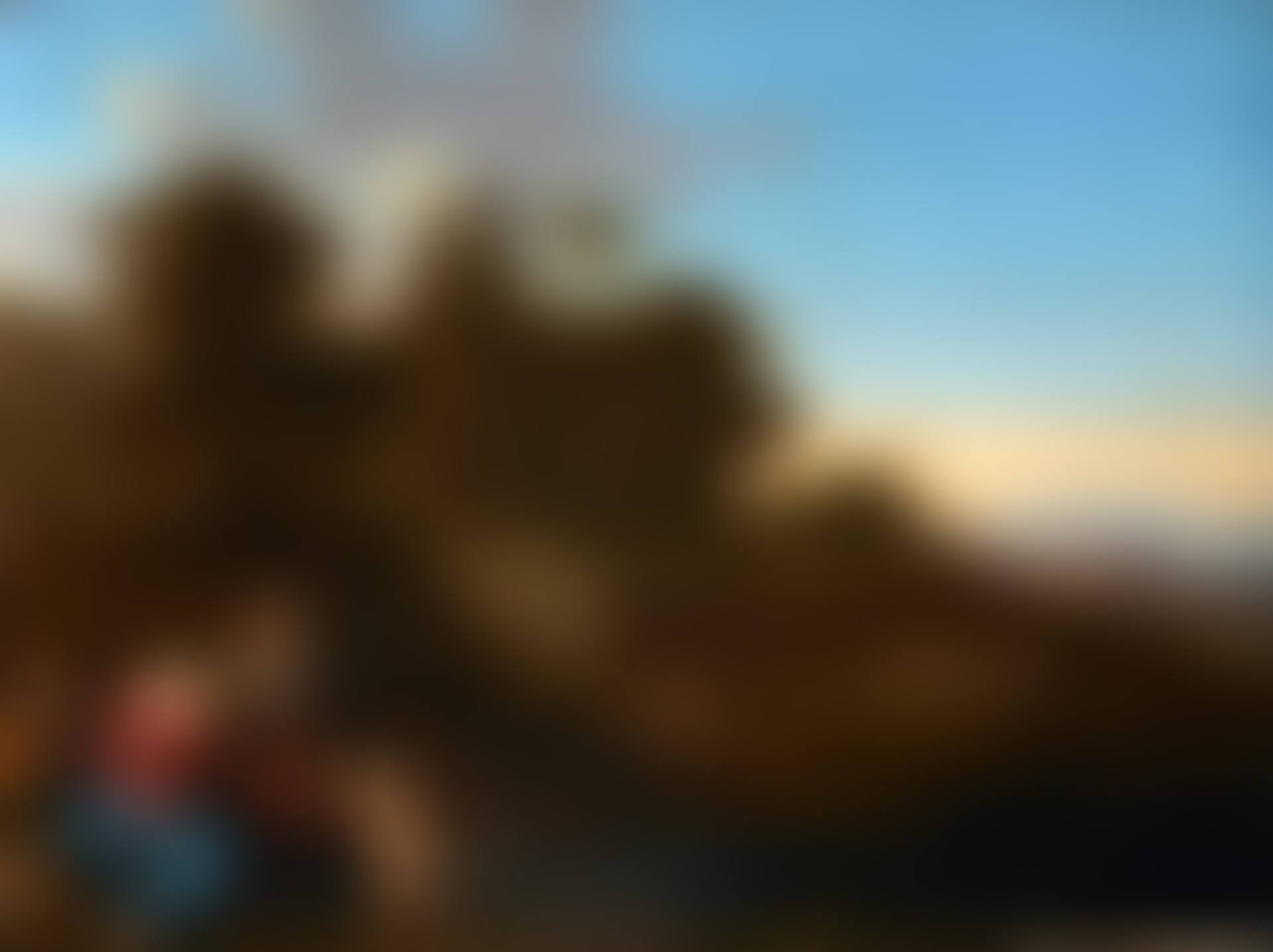 THE HOLY FAMILY WITH SAINT ELIZABETH AND SAINT JOHN IN A PASTORAL LANDSCAPE (preview)