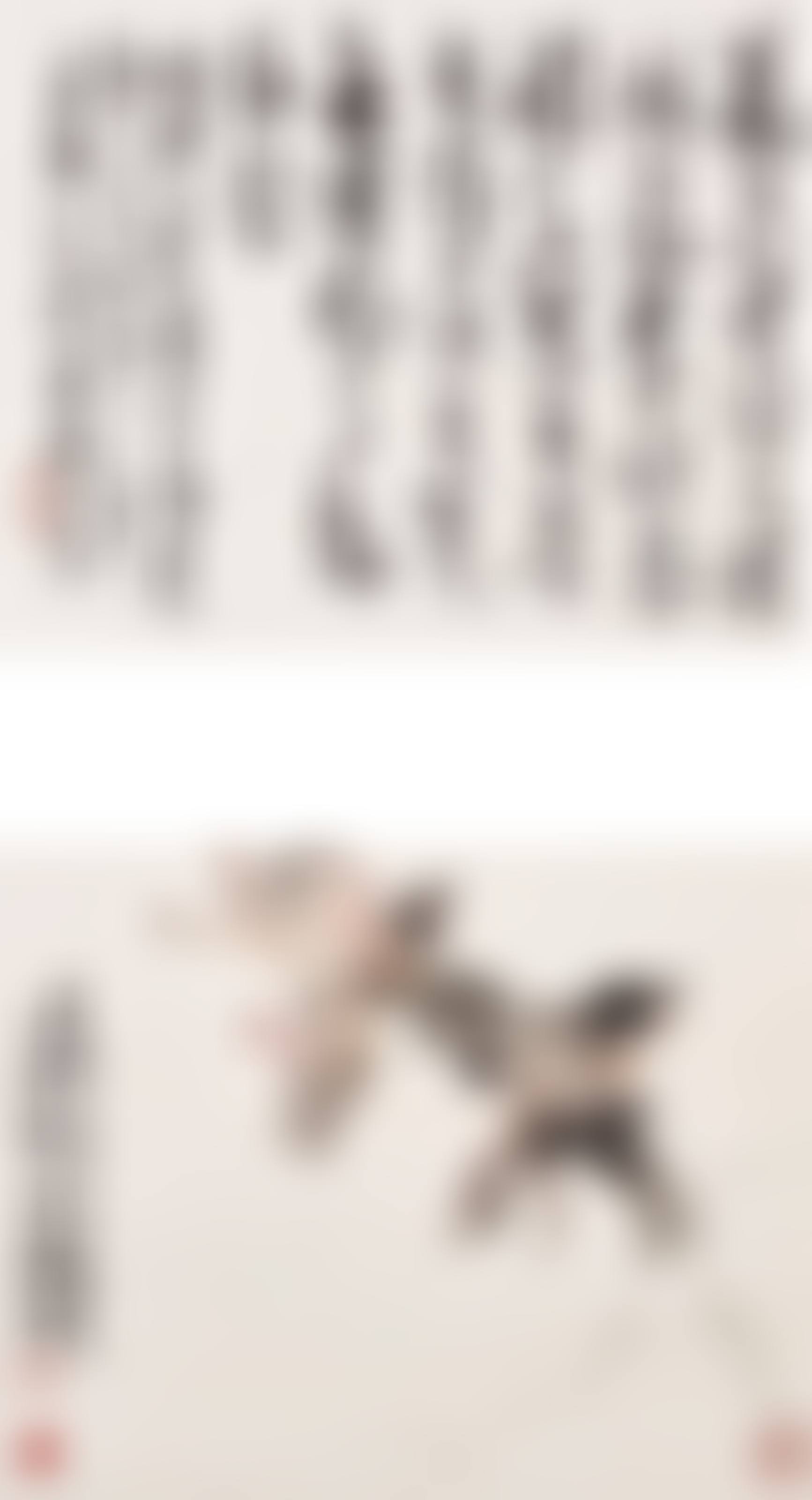 Swallows/Calligraphy in Running Script (preview)