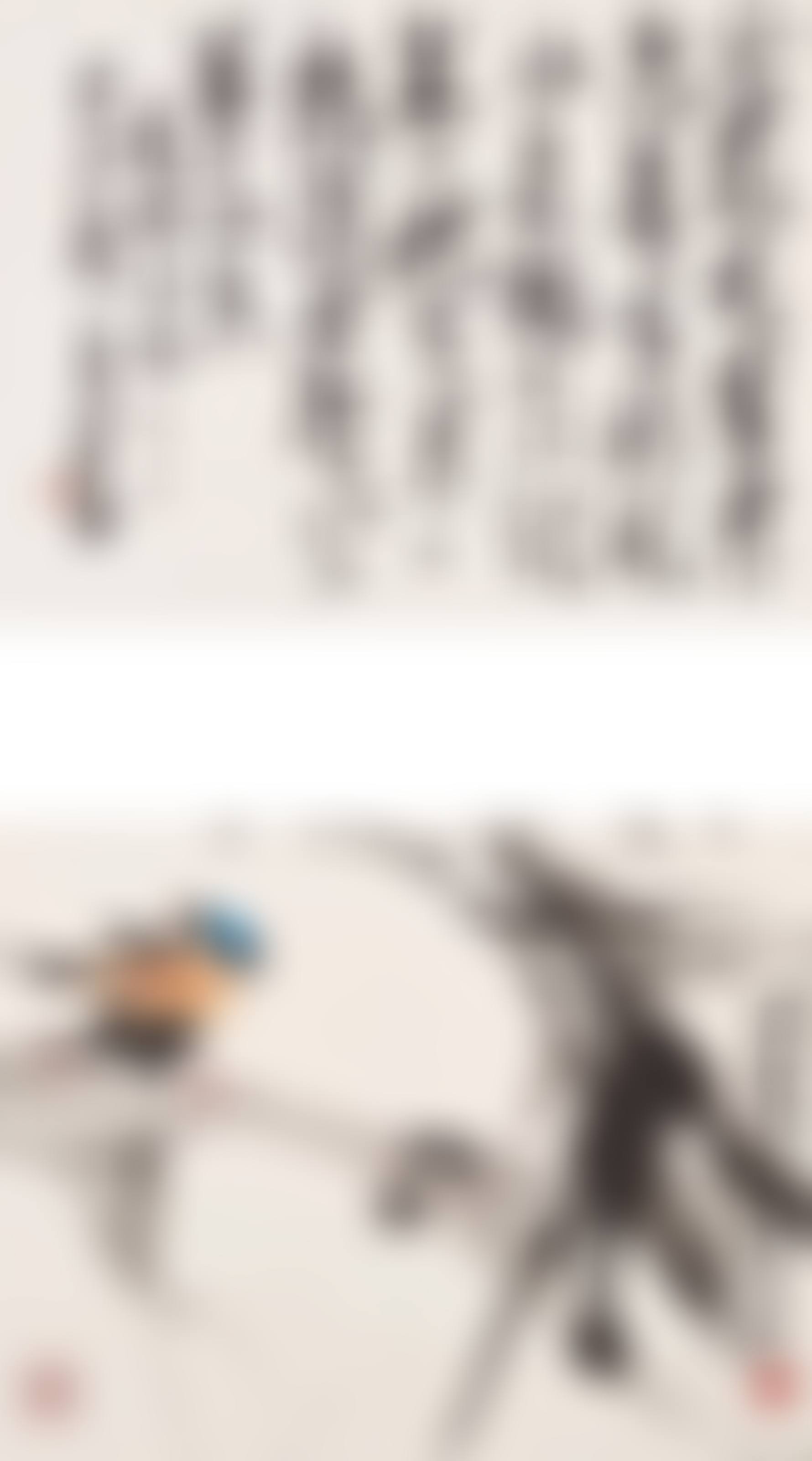 Bird on Bamboo/ Calligraphy in Running Script (preview)