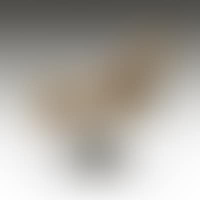 Piccolo cavallo (preview)