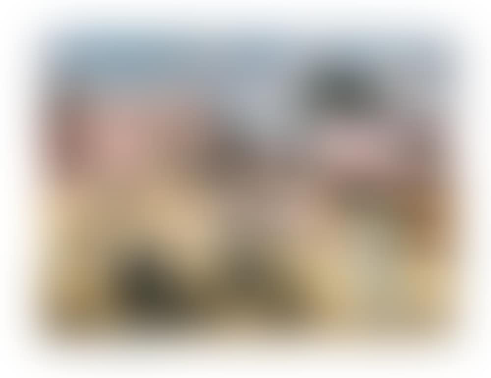 Mexican peasants and century plants (preview)