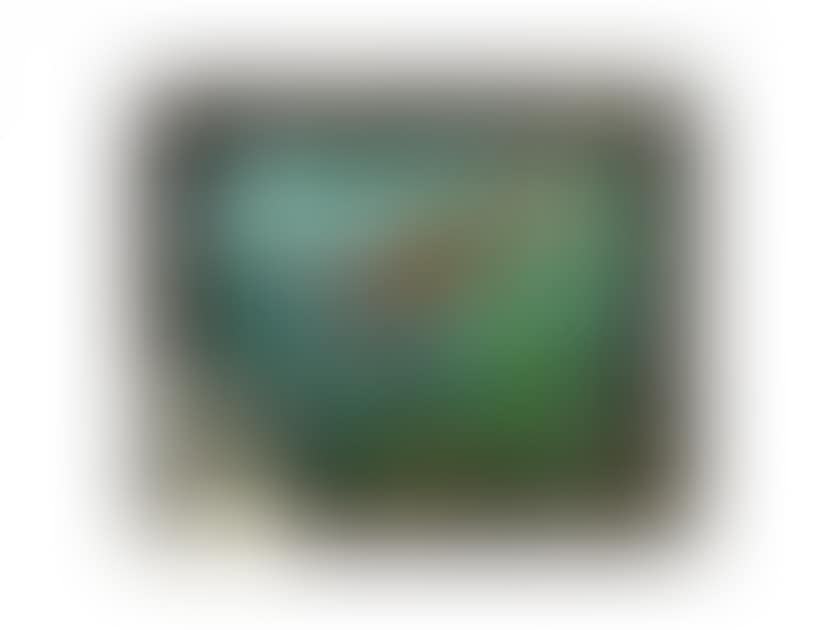 In her submarine worm universe, she admires the pigeon fish, the fishwives of the Alcazar and in the aquarium bottoms, the sparkling colors of the water (preview)