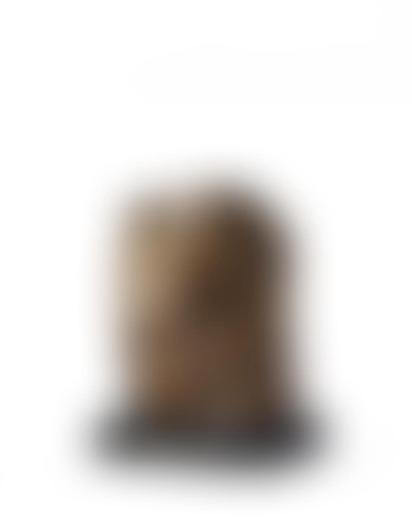 Torso (preview)