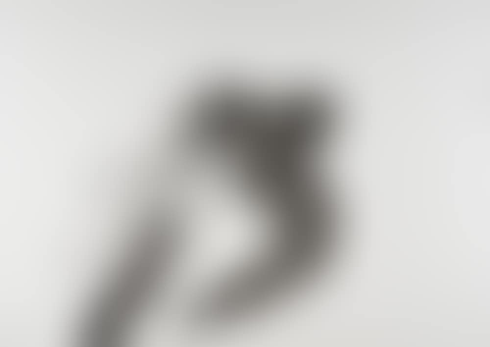No (Whereupon) (preview)
